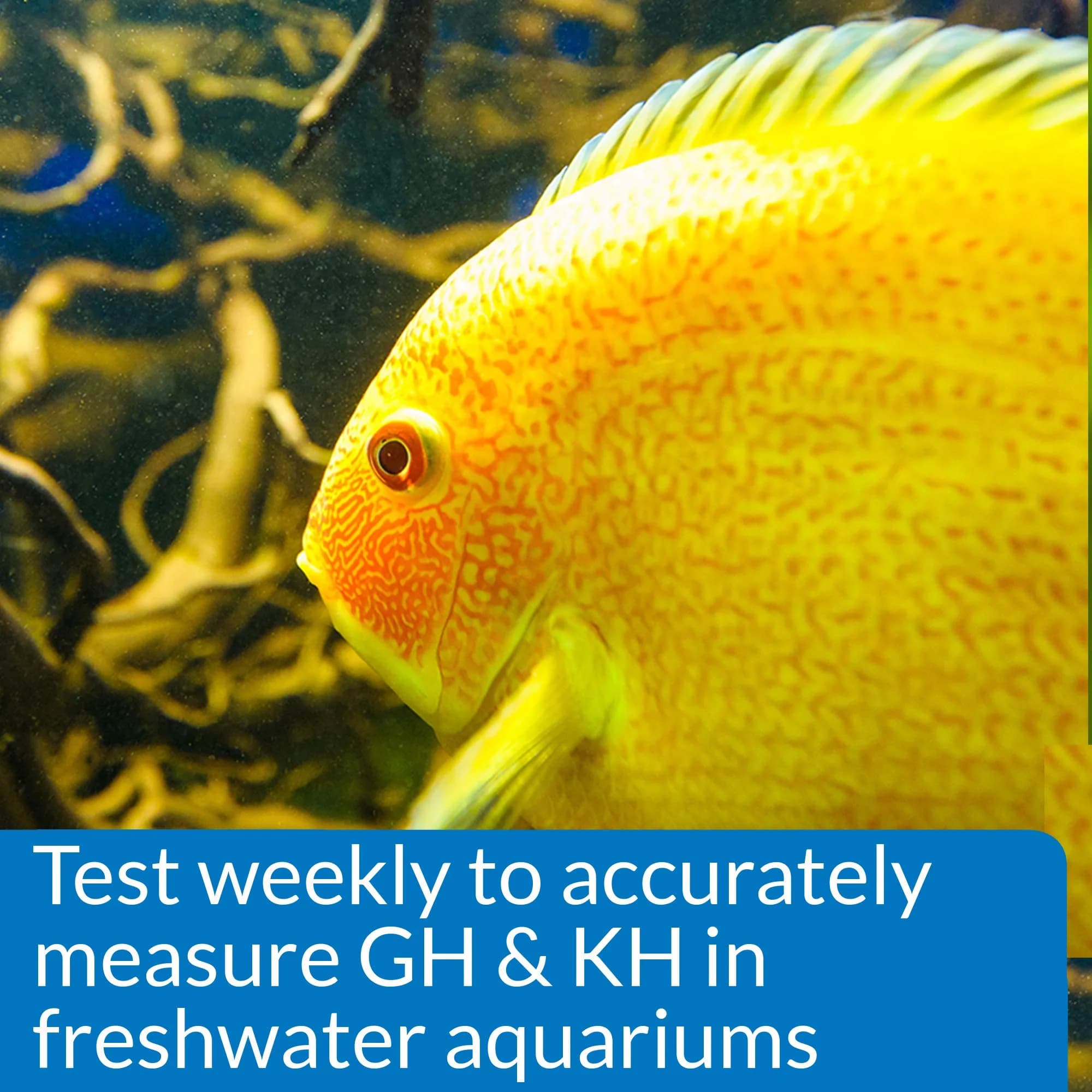 API GH & KH Test Kit Freshwater Aquarium Water Test Kit 2.5 oz (74ml) | Monitors Water Quality for Fish Health - view 4