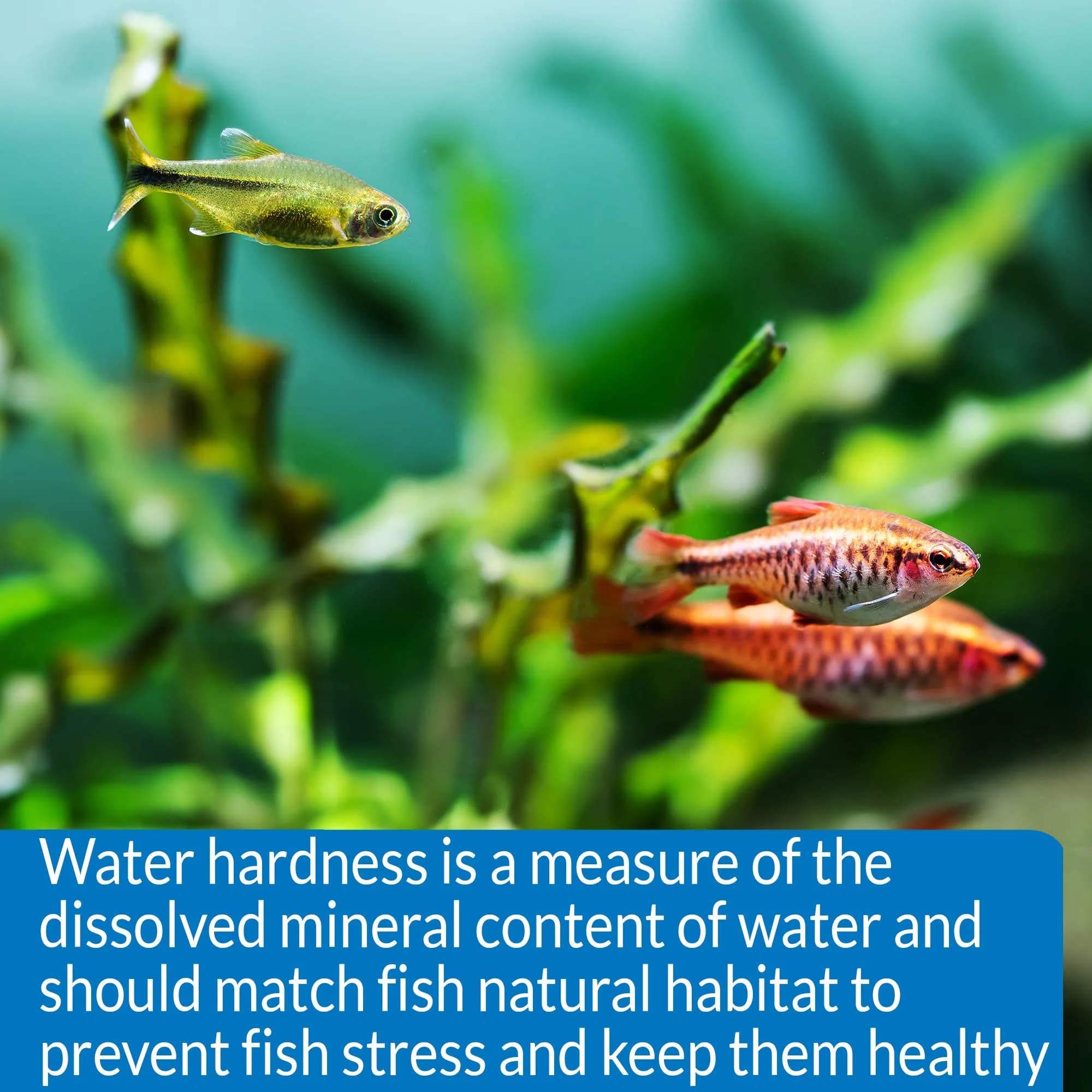 API GH & KH Test Kit Freshwater Aquarium Water Test Kit 2.5 oz (74ml) | Monitors Water Quality for Fish Health - view 5
