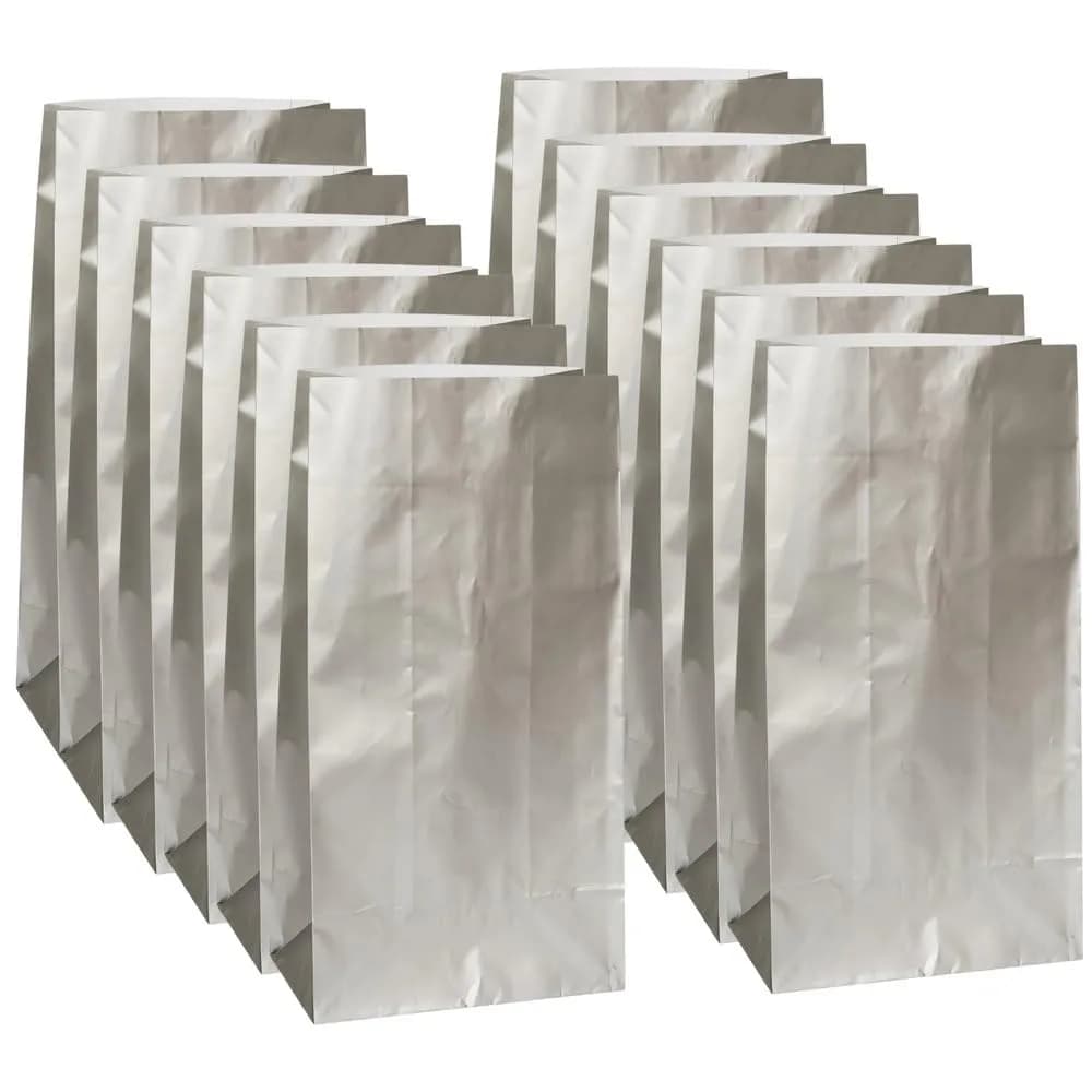 Unique Sparkling Silver Metallic Paper Party Bags 10 Count (Pack of 1) | Premium Eco-Friendly Gift Bags for Celebrations - main product image