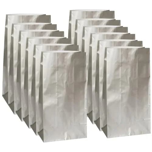 Unique Sparkling Silver Metallic Paper Party Bags 10 Count (Pack of 1) | Premium Eco-Friendly Gift Bags for Celebrations thumbnail 1