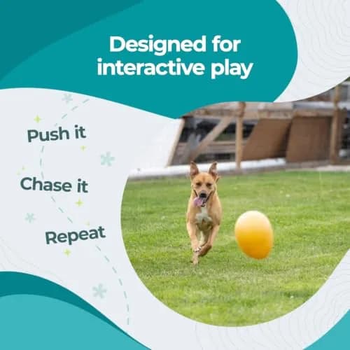 Jolly Pets Jolly Egg Herding Dog Toy, 12 inch (30.48 cm) Yellow, Large | Unpredictable Chase for Active Dogs thumbnail 3