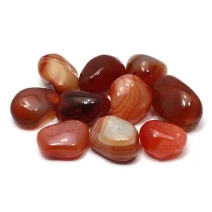 GeoFossils Carnelian Tumble Stone (Brazilian) 20-25mm | Healing Crystal for Collection & Wellness thumbnail 2