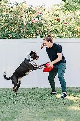 Jolly Pets Jolly Egg Dog Toy Medium 8 Inches Red | Erratic Motion Fetch & Float Toy thumbnail 2