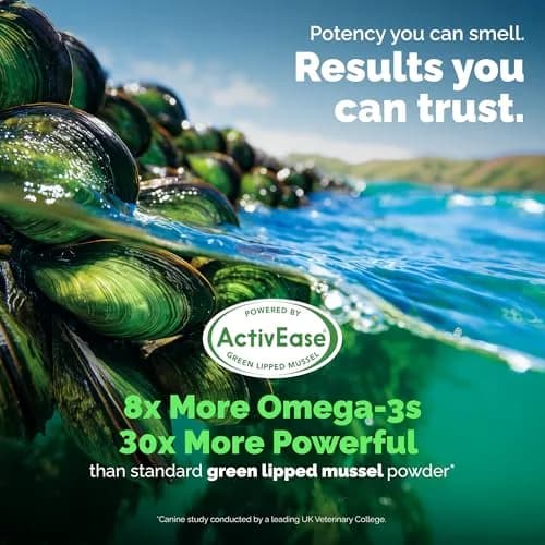 YuMOVE Dog Hip & Joint Supplement Regular Strength 300 Chewable Tablets | Vet-Recommended Mobility Support thumbnail 5