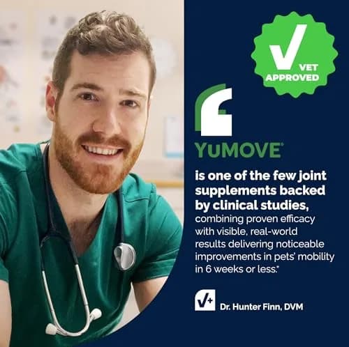 YuMOVE Dog Hip & Joint Supplement Regular Strength 300 Chewable Tablets | Vet-Recommended Mobility Support thumbnail 7