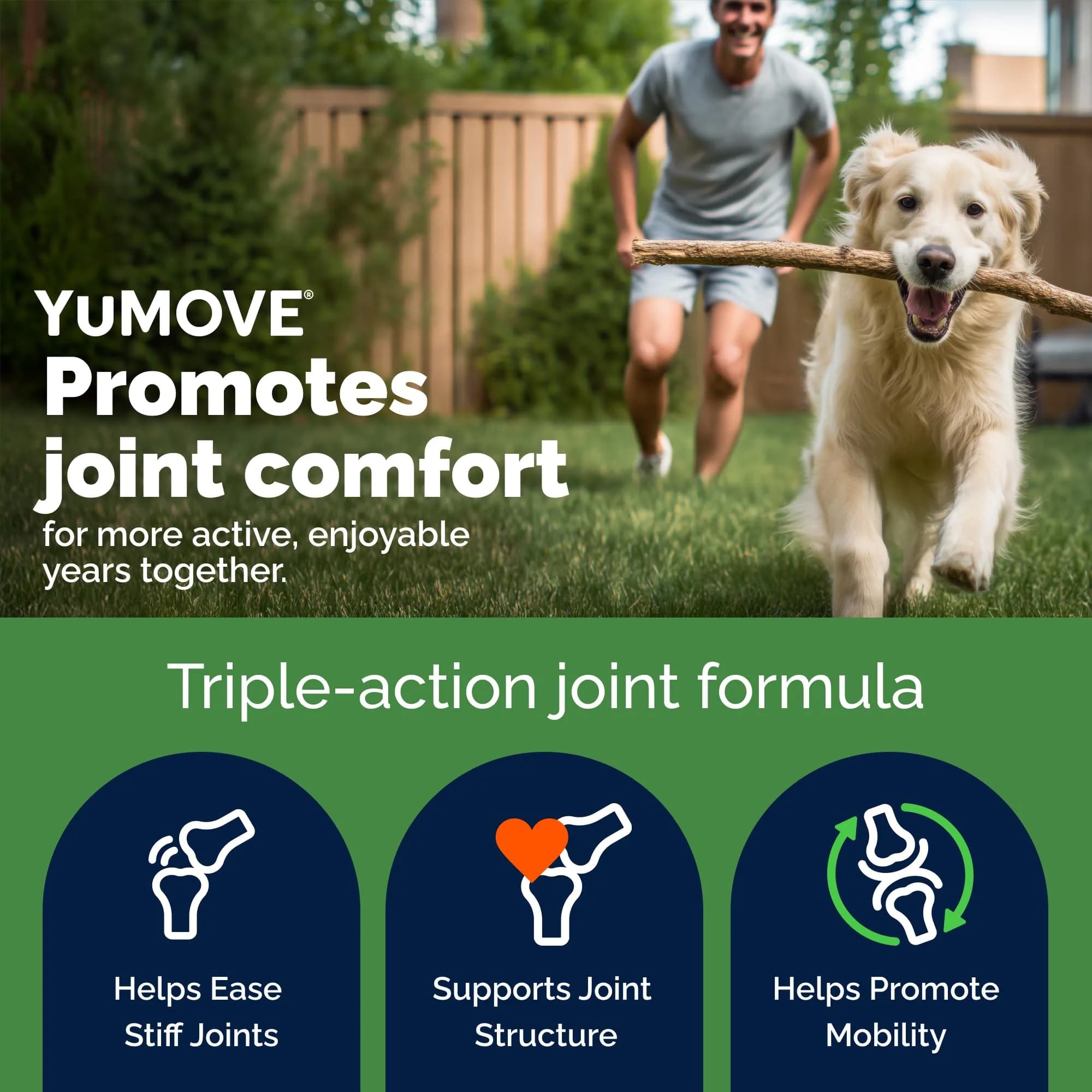 YuMOVE Dog Hip & Joint Supplement Regular Strength 300 Chewable Tablets | Vet-Recommended Mobility Support - view 2