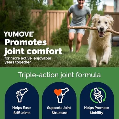 YuMOVE Dog Hip & Joint Supplement Regular Strength 300 Chewable Tablets | Vet-Recommended Mobility Support thumbnail 2