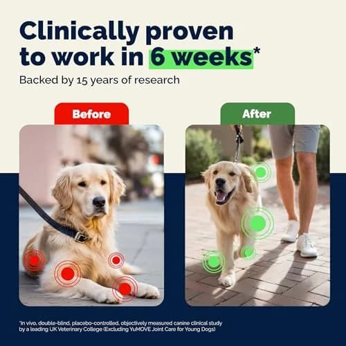YuMOVE Dog Hip & Joint Supplement Regular Strength 300 Chewable Tablets | Vet-Recommended Mobility Support thumbnail 3