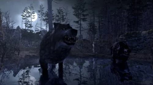ACTIVISION Cabela's Dangerous Hunts 2011 with Top Shot Elite - Nintendo Wii | Hunting & Survival Action (70-120 chars) thumbnail 6