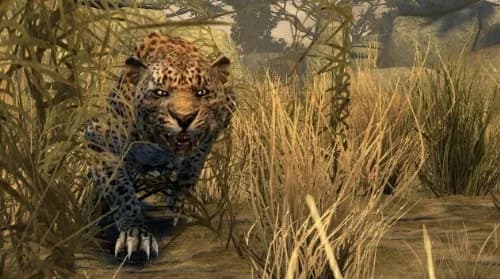 ACTIVISION Cabela's Dangerous Hunts 2011 with Top Shot Elite - Nintendo Wii | Hunting & Survival Action (70-120 chars) thumbnail 7