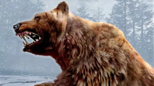 ACTIVISION Cabela's Dangerous Hunts 2011 with Top Shot Elite - Nintendo Wii | Hunting & Survival Action (70-120 chars) thumbnail 2