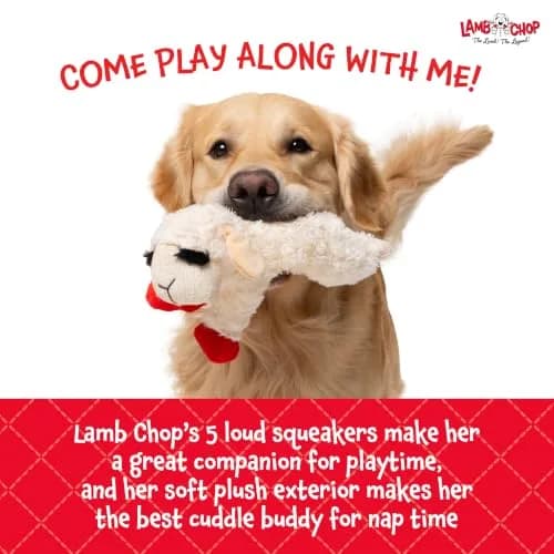 Multipet Lamb Chop Plush Dog Toy 25.4 cm (10") | Squeaky Toy for Small & Medium Dogs thumbnail 5