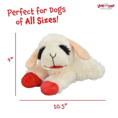 Multipet Lamb Chop Plush Dog Toy 25.4 cm (10") | Squeaky Toy for Small & Medium Dogs thumbnail 6