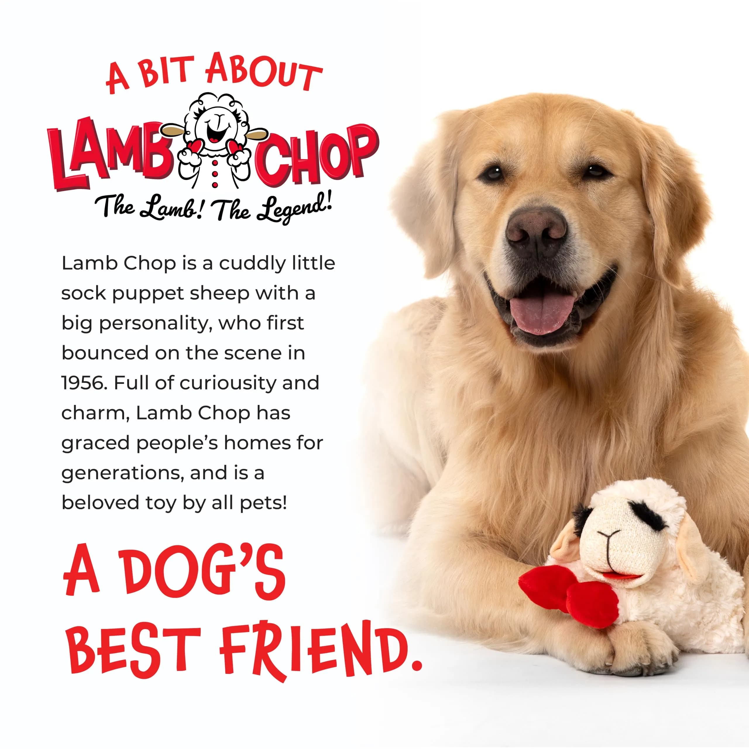 Multipet Lamb Chop Plush Dog Toy 25.4 cm (10") | Squeaky Toy for Small & Medium Dogs - view 8