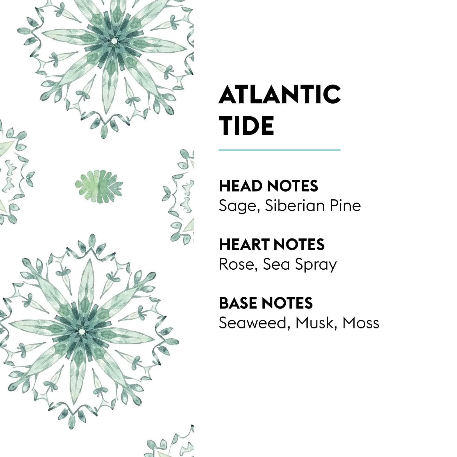 MAISON BERGER Atlantic Tide Fragrance Refill 500ml (16.9 Fl Oz) | Odor Neutralizing Home Fragrance - view 2