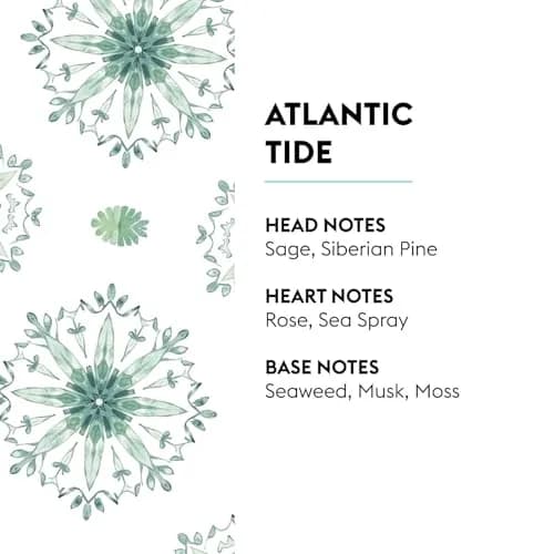 MAISON BERGER Atlantic Tide Fragrance Refill 500ml (16.9 Fl Oz) | Odor Neutralizing Home Fragrance thumbnail 2