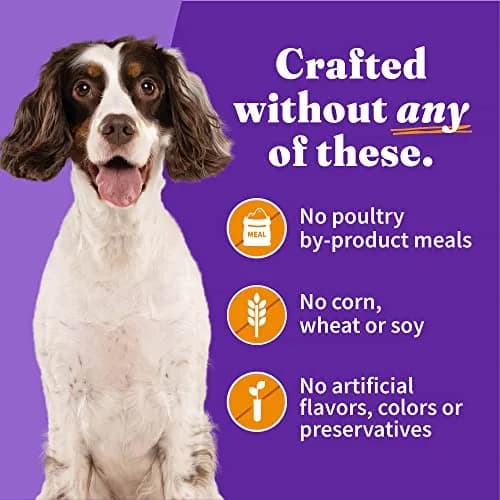 Halo Wet Dog Food, Real Chicken in Broth Recipe, 5.5 oz Can | Complete Nutrition for Adult Dogs thumbnail 6