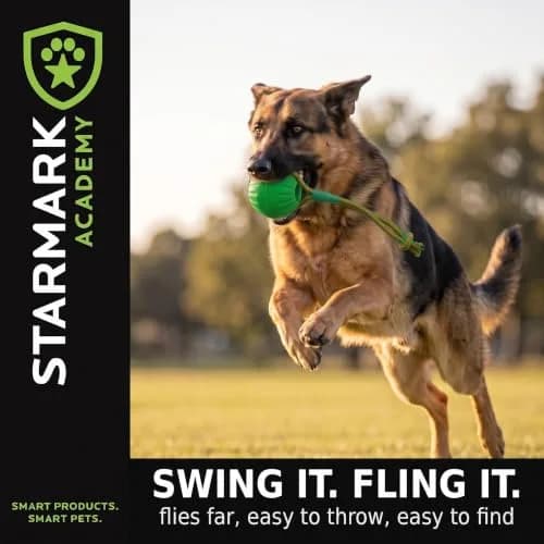 Starmark Everlasting Fun Ball on a Rope Dog Toy, 190.5 cm (75 in) Rope Length, Medium/Large, Green | Virtually Indestructible Fetch & Tug Toy thumbnail 5