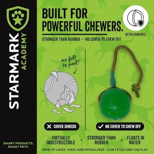 Starmark Everlasting Fun Ball on a Rope Dog Toy, 190.5 cm (75 in) Rope Length, Medium/Large, Green | Virtually Indestructible Fetch & Tug Toy thumbnail 3