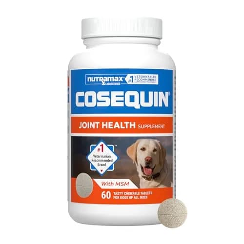 Nutramax Cosequin Joint Supplement for Dogs, Glucosamine & Chondroitin Chew Tabs, 60 Count | Supports Healthy Joints for All Breeds & Ages thumbnail 1