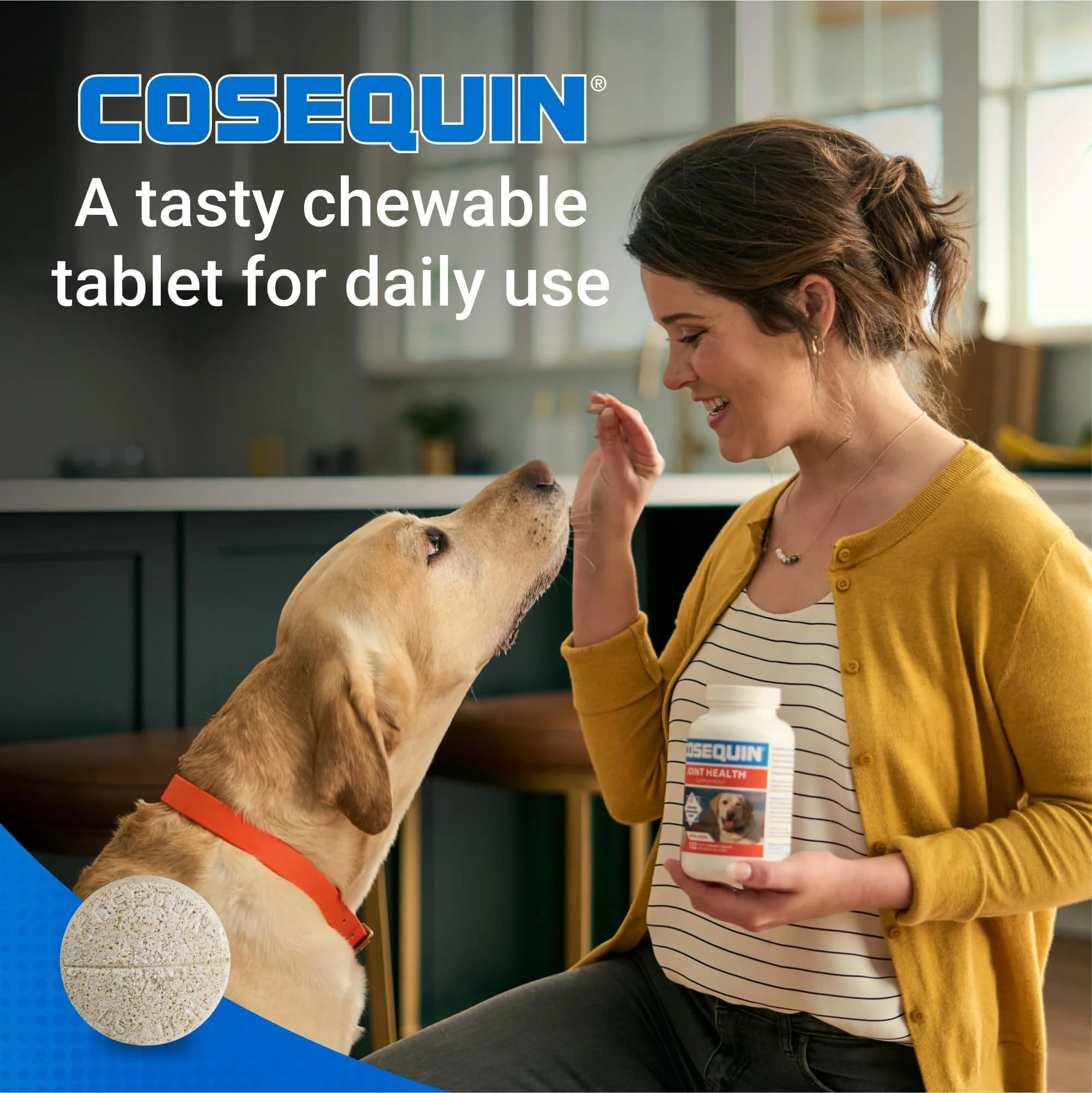 Nutramax Cosequin Joint Supplement for Dogs, Glucosamine & Chondroitin Chew Tabs, 60 Count | Supports Healthy Joints for All Breeds & Ages - view 5