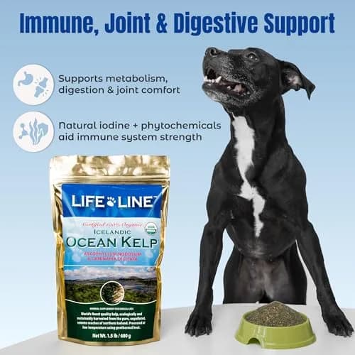 Life Line Organic Ocean Kelp Supplement for Dogs, Cats, Horses & Livestock | Natural Iodine Source, Supports Skin & Coat, Digestion | 1.5 lb thumbnail 4