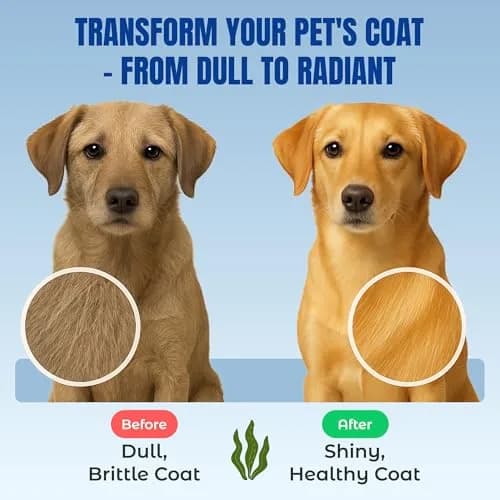 Life Line Organic Ocean Kelp Supplement for Dogs, Cats, Horses & Livestock | Natural Iodine Source, Supports Skin & Coat, Digestion | 1.5 lb thumbnail 2