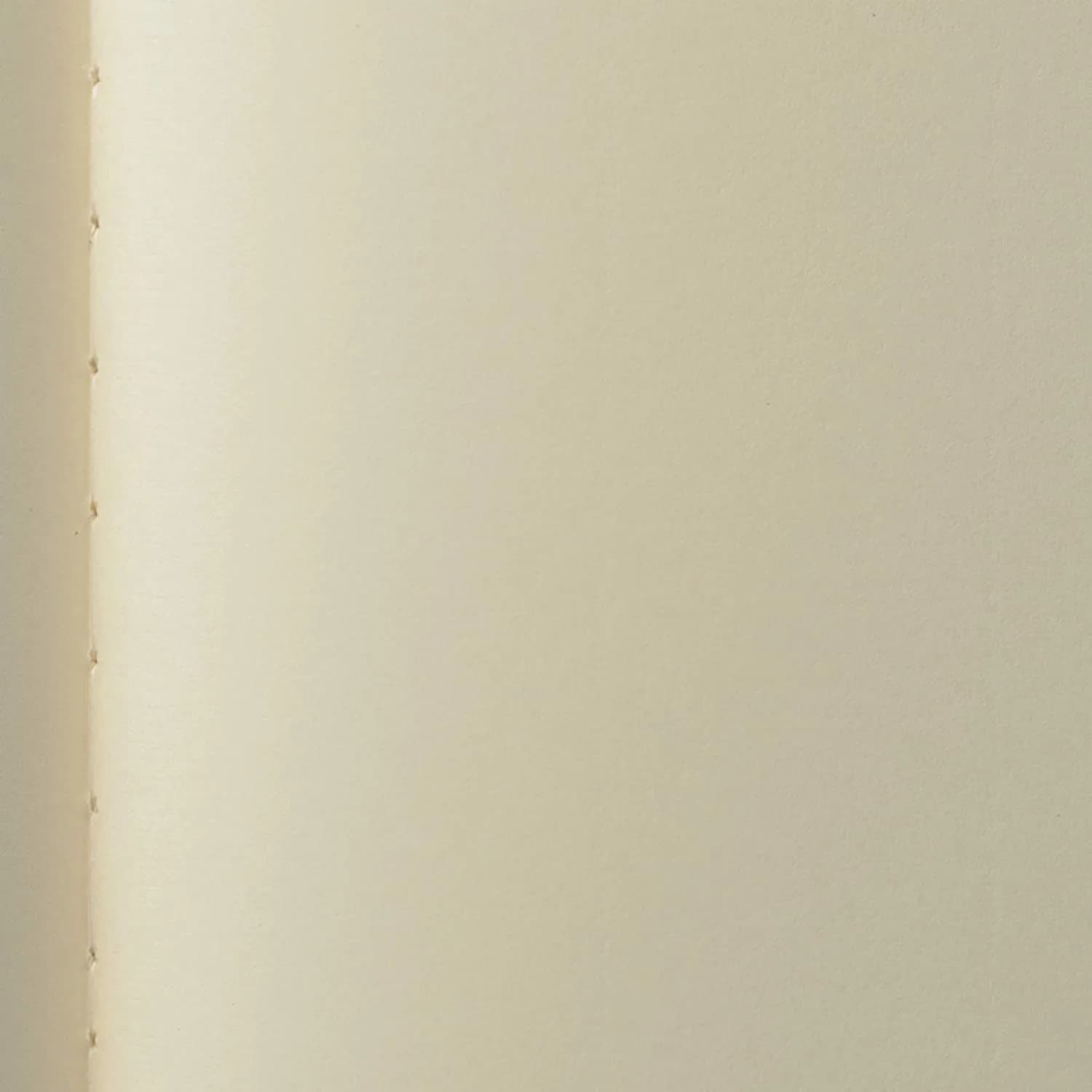 Life Noble Notebook Plain A4 N34 | Fountain Pen Friendly Paper for Professionals - view 2