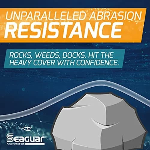 Seaguar Blue Label 100% Flourocarbon Fishing Line 12 lbs | Fast sinking, superior knot strength, saltwater ready thumbnail 2