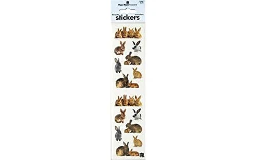 Paper House Productions ST-2221E Photo Real Stickypix Stickers, Bunnies, 2-Inch by 4-Inch Modules | Cartoon Animal Theme thumbnail 1