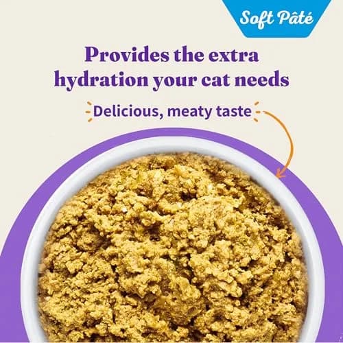 Halo Soft Pate Wet Cat Food, Salmon in Broth, 5.5 oz Can, 12-Pack | Grain-Free, Complete Nutrition for Adult Cats thumbnail 4