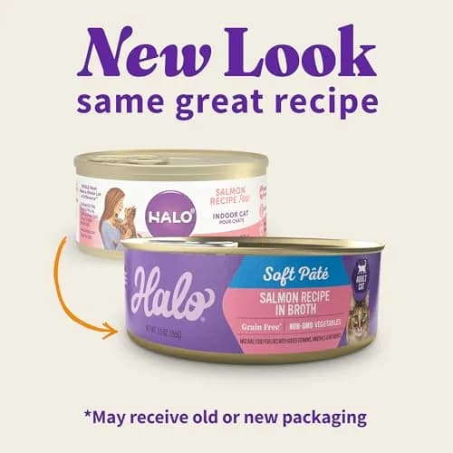 Halo Soft Pate Wet Cat Food, Salmon in Broth, 5.5 oz Can, 12-Pack | Grain-Free, Complete Nutrition for Adult Cats thumbnail 2