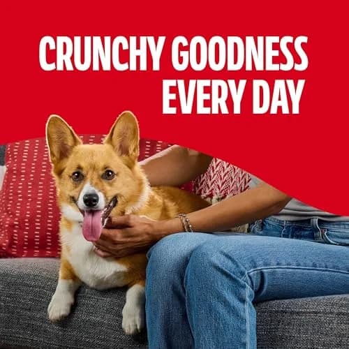 Milk-Bone Flavor Snacks Small Dog Treats 24 Oz. | Vitamin-Fortified, Wholesome & Crunchy thumbnail 6