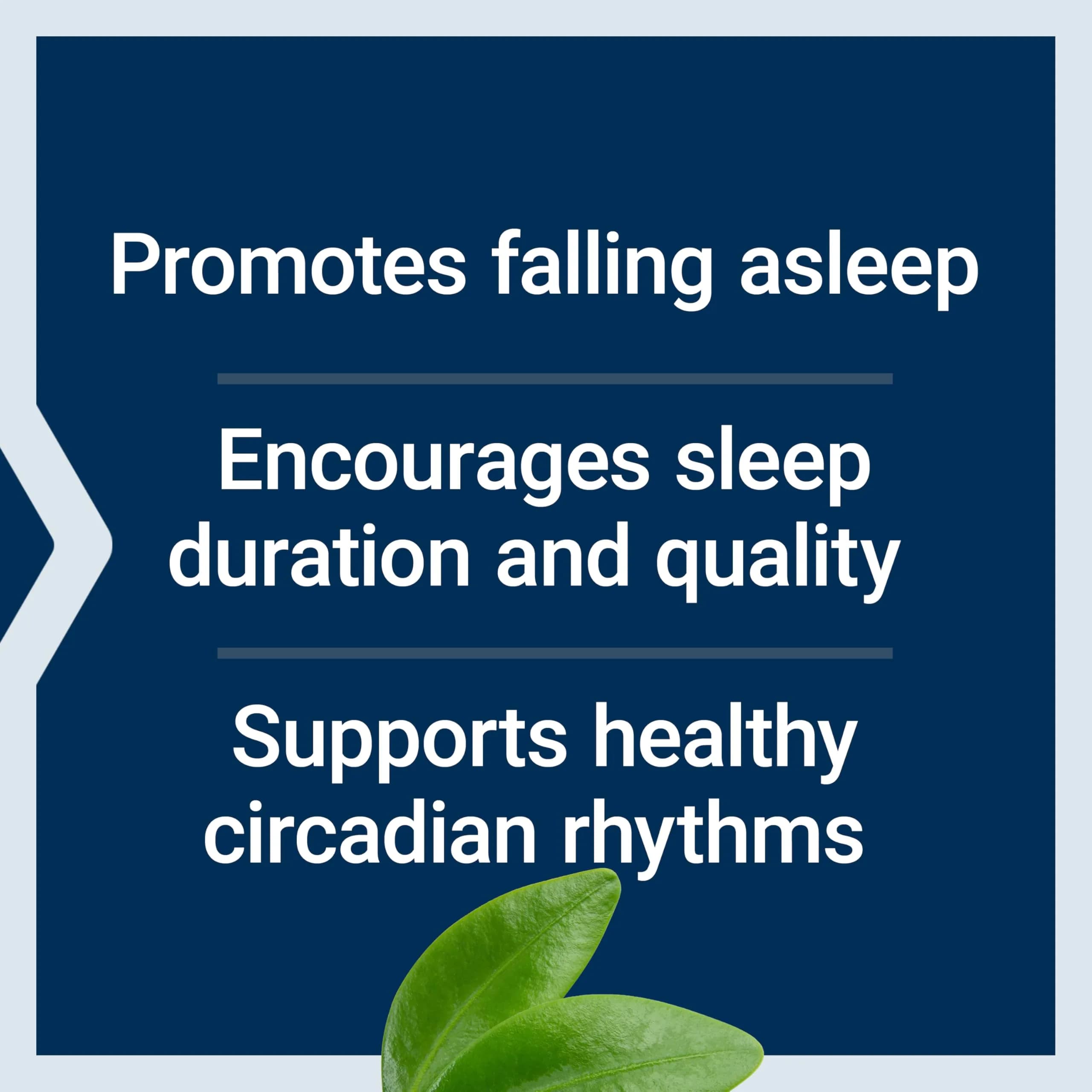 Life Extension Melatonin 6 Hour Timed Release Tablets 3 mg (60 Count) | Supports Sleep & Circadian Rhythms - view 3