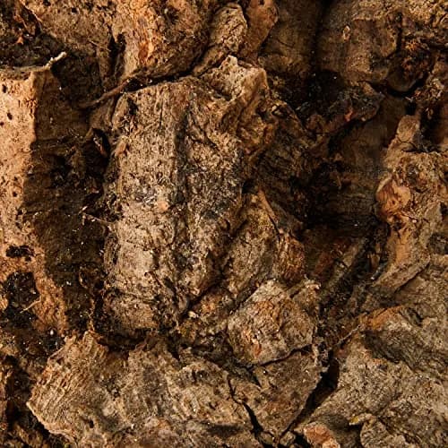 Komodo Habitat Bark, Medium | Natural Cork Hideout for Reptiles in India thumbnail 2