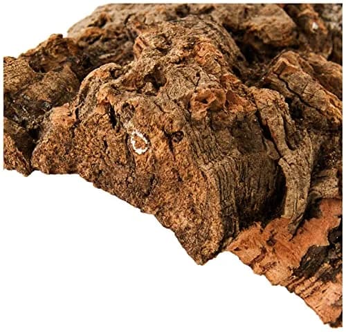 Komodo Habitat Bark, Medium | Natural Cork Hideout for Reptiles in India thumbnail 3