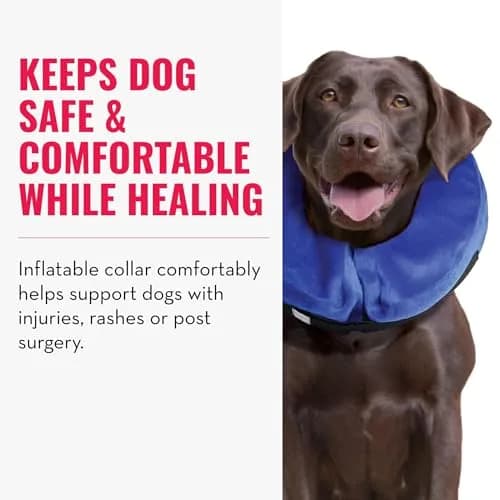 KONG Cloud Collar Inflatable Collar for Large Dogs | Post Surgery Recovery, Comfortable & Durable thumbnail 2
