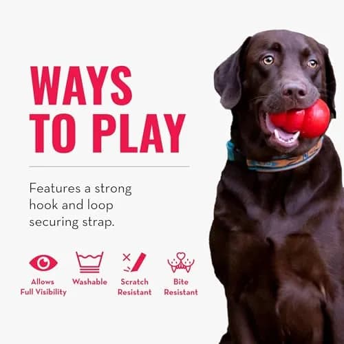 KONG Cloud Collar Inflatable Collar for Large Dogs | Post Surgery Recovery, Comfortable & Durable thumbnail 4