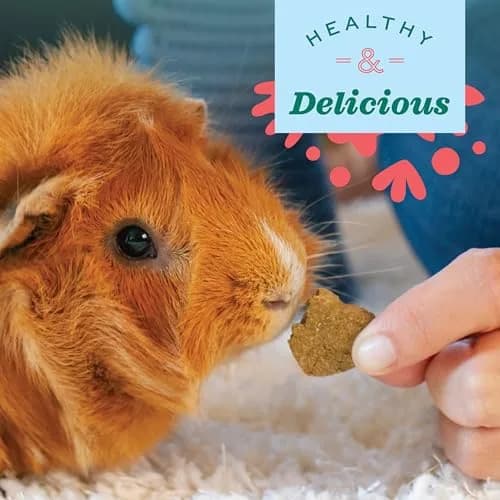 Oxbow Simple Rewards Veggie Treats for Small Animals 3 oz (85 g) | Wholesome Oven-Baked Goodness thumbnail 5