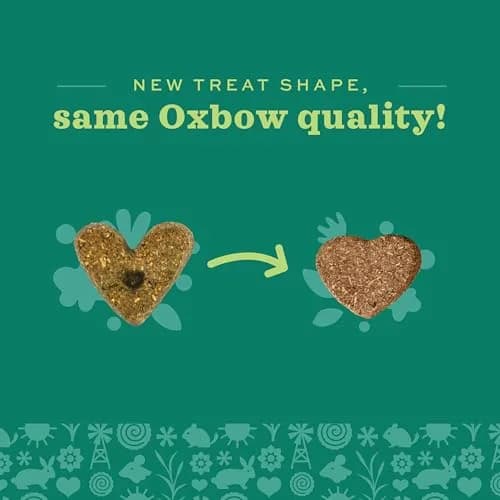 Oxbow Simple Rewards Veggie Treats for Small Animals 3 oz (85 g) | Wholesome Oven-Baked Goodness thumbnail 6