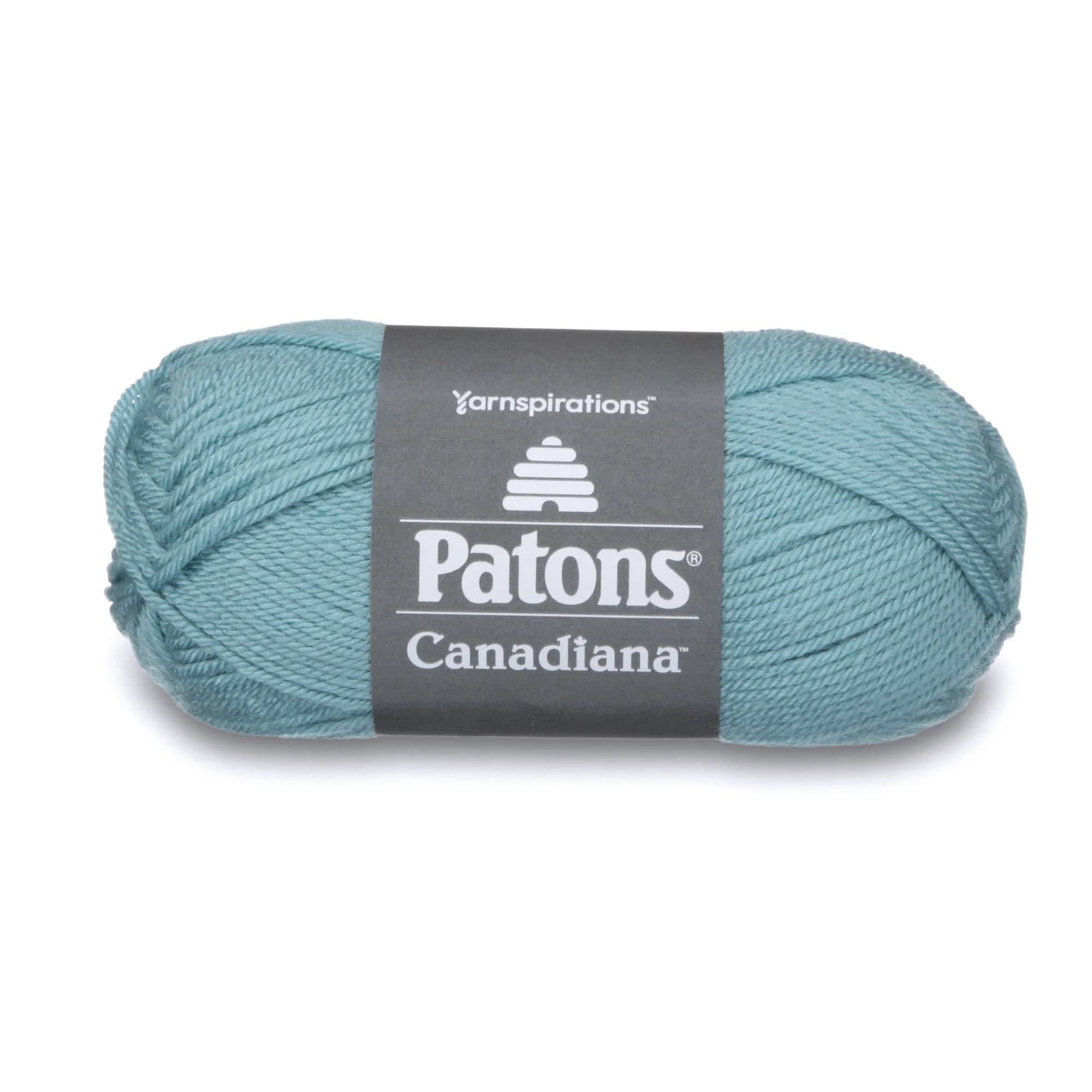 Patons Canadiana Yarn Solids Pale Teal 100g (3.5oz) | Worsted Weight Acrylic for Knitting & Crochet — Pale Teal