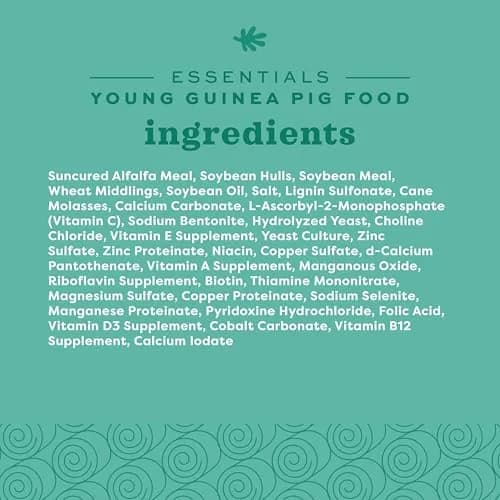 Oxbow Essentials Young Guinea Pig Food, High Fiber Alfalfa Pellets 2.27 kg (5 lb) | Supports Growth & Digestion thumbnail 9
