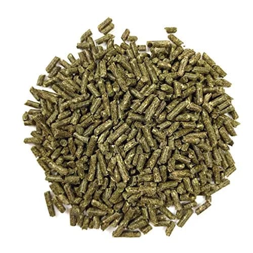 Oxbow Essentials Young Guinea Pig Food, High Fiber Alfalfa Pellets 2.27 kg (5 lb) | Supports Growth & Digestion thumbnail 3