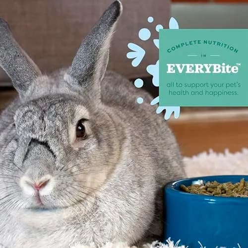 Oxbow Essentials Adult Rabbit Food with Timothy Hay Pellets 2.27 kg (5 lb) | Complete Nutrition for Adult Rabbits - view 4