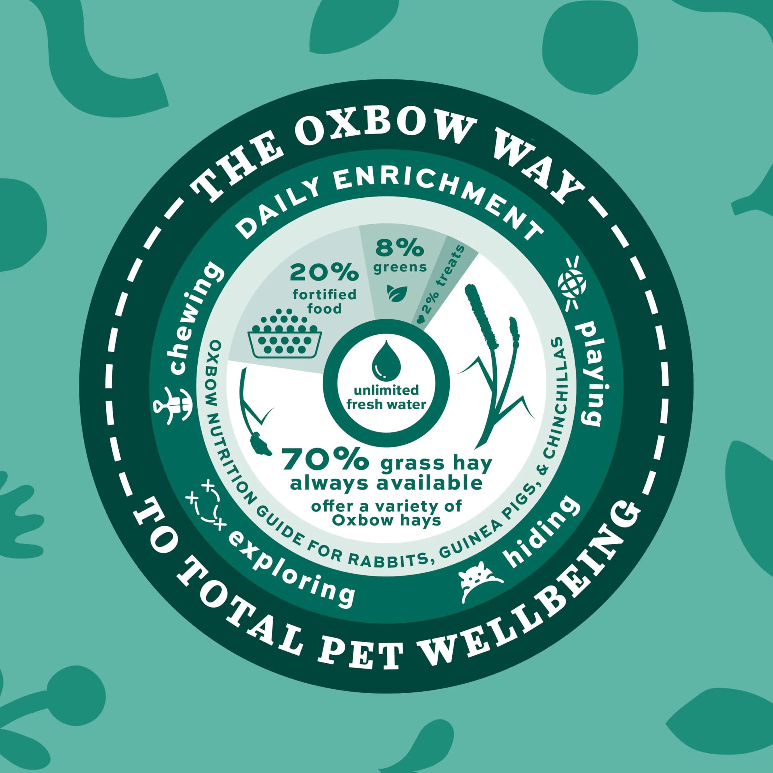 Oxbow Essentials Young Rabbit Food 4.54 kg (10 lb) | High-Fiber Alfalfa Pellets for Healthy Digestion - view 7