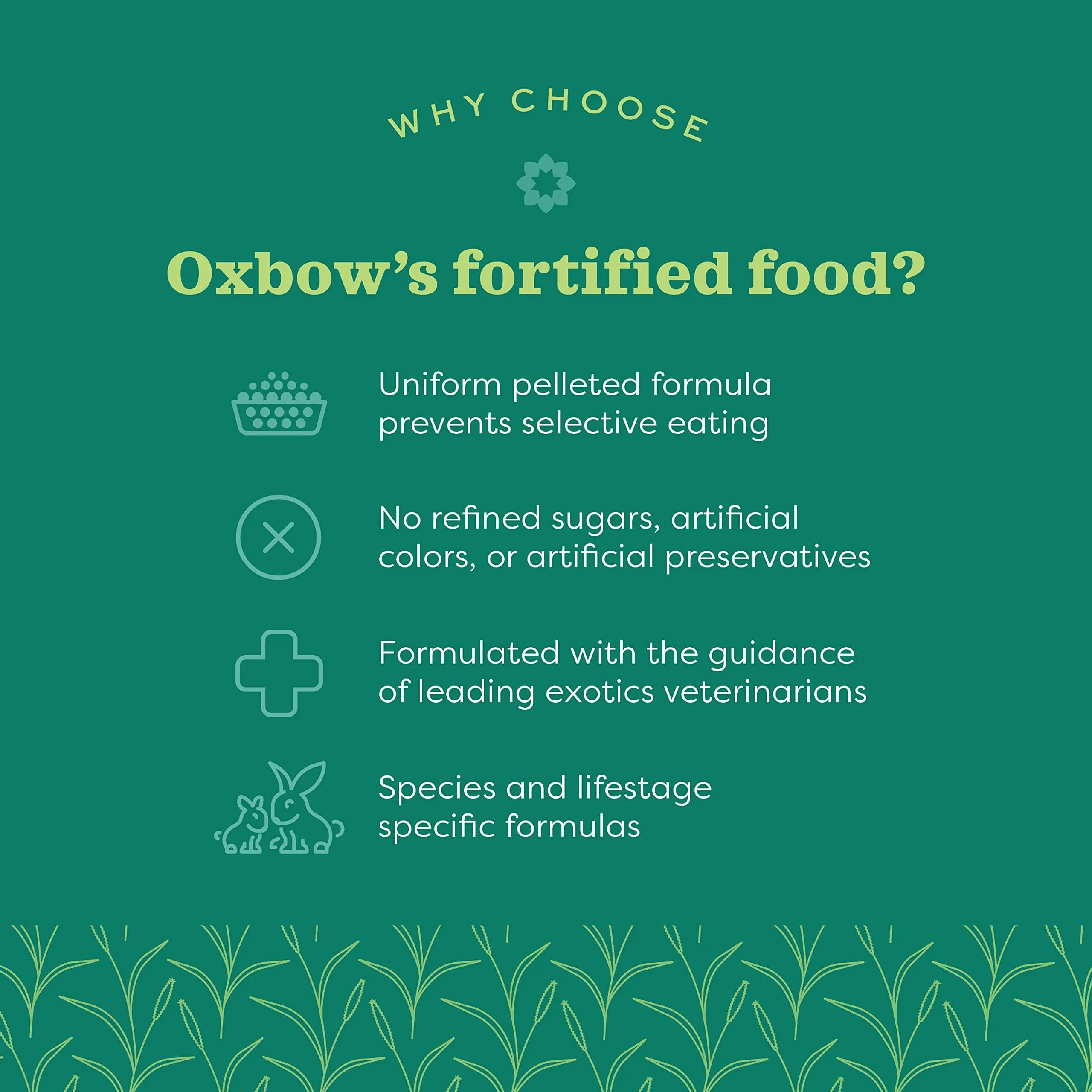 Oxbow Essentials Young Rabbit Food 4.54 kg (10 lb) | High-Fiber Alfalfa Pellets for Healthy Digestion - view 3