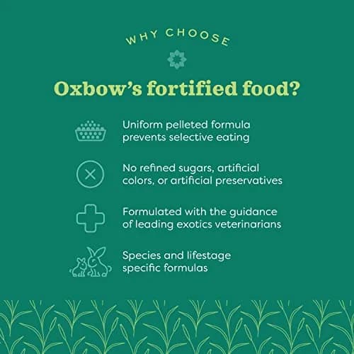 Oxbow Essentials Adult Rabbit Food with Timothy Hay Pellets 2.27 kg (5 lb) | Complete Nutrition for Adult Rabbits - view 3