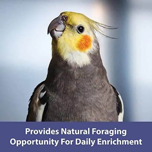Kaytee Spray Millet 125 Count (5 lb) | Natural Bird Treat for Weaning and Playtime thumbnail 4