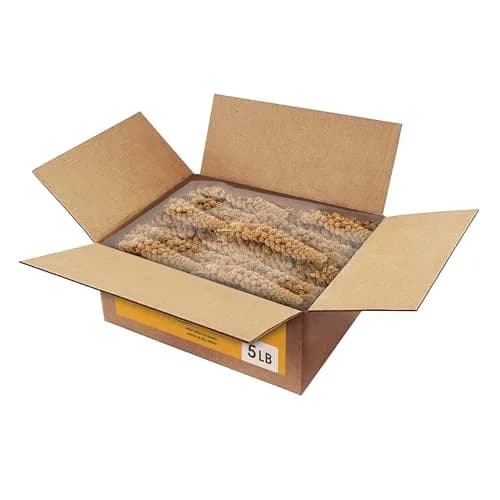 Kaytee Spray Millet 125 Count (5 lb) | Natural Bird Treat for Weaning and Playtime thumbnail 5