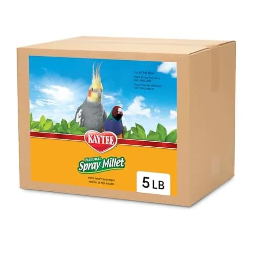 Kaytee Spray Millet 125 Count (5 lb) | Natural Bird Treat for Weaning and Playtime thumbnail 1